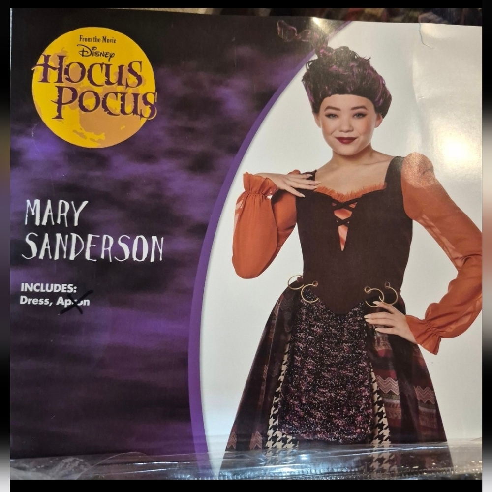 Disney Hocus Pocus Mary Sanderson Kid's Costume - Orange and Black Size M 8-10